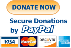 Promo for Paypal Donate graphic